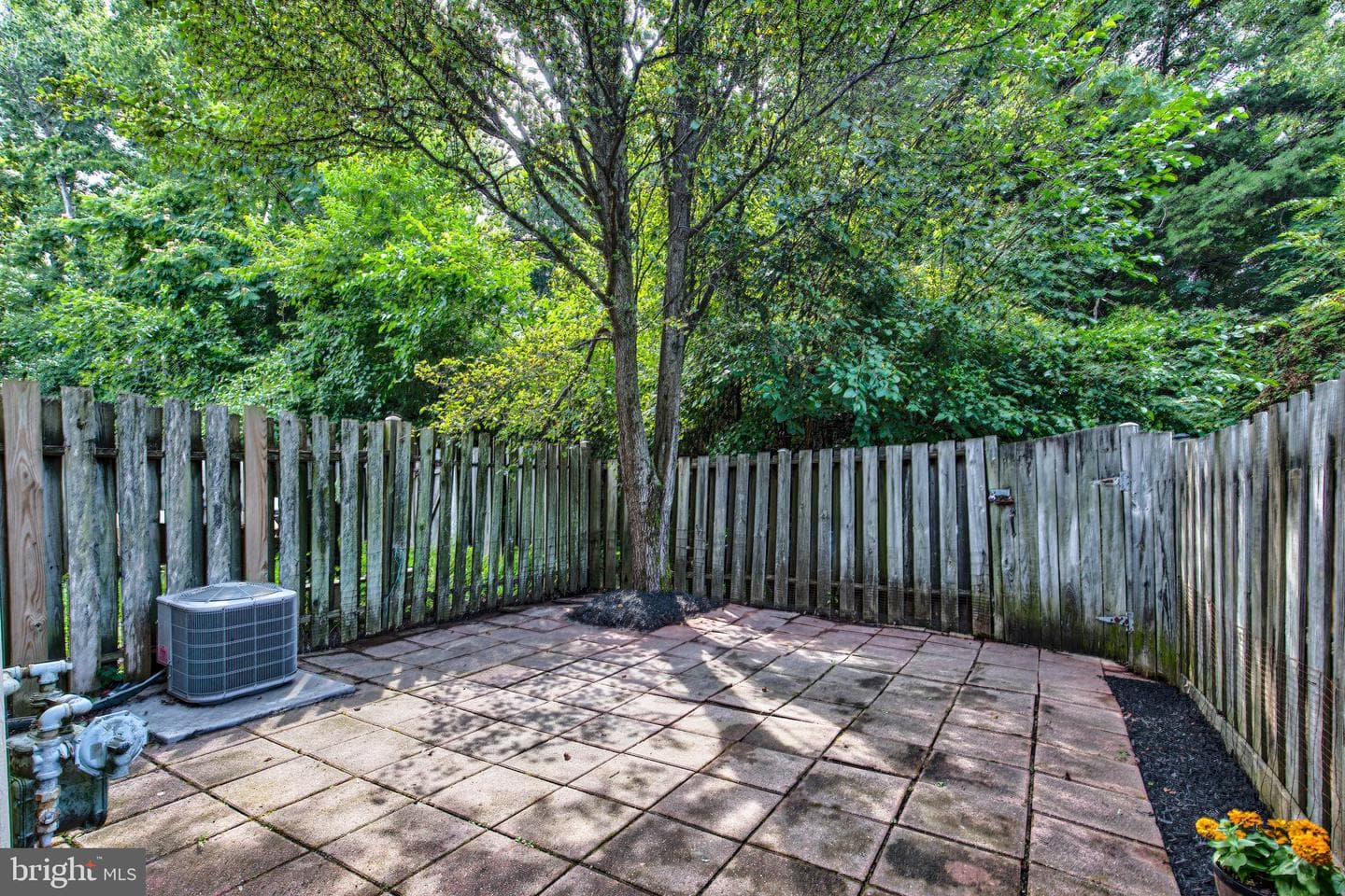 15013 Cardin Place photo 14