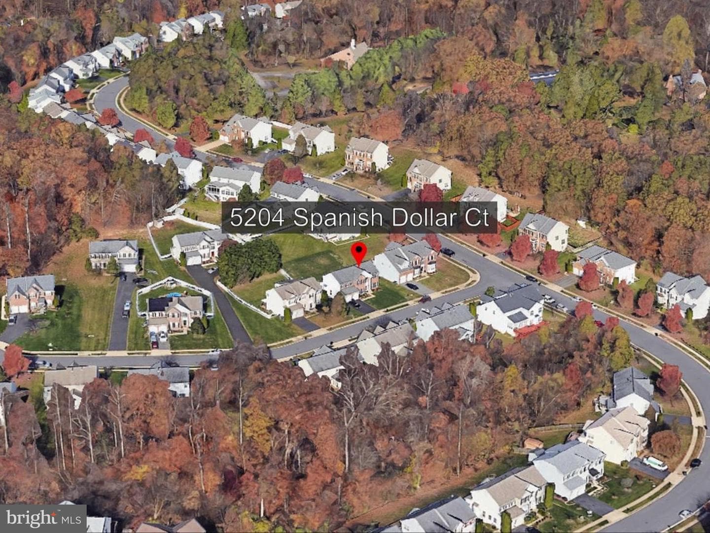 5204 Spanish Dollar Court photo 2