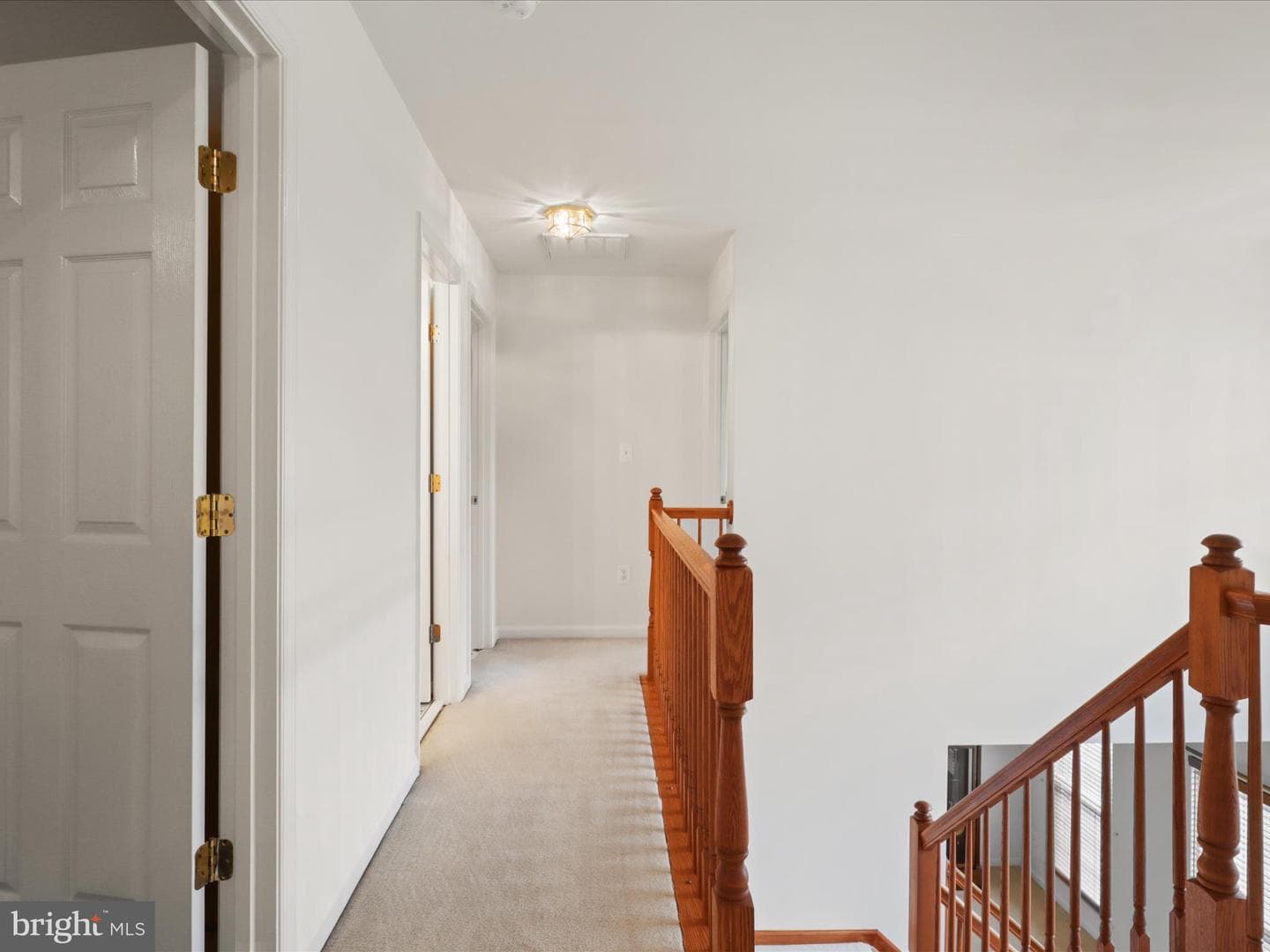 5204 Spanish Dollar Court photo 29