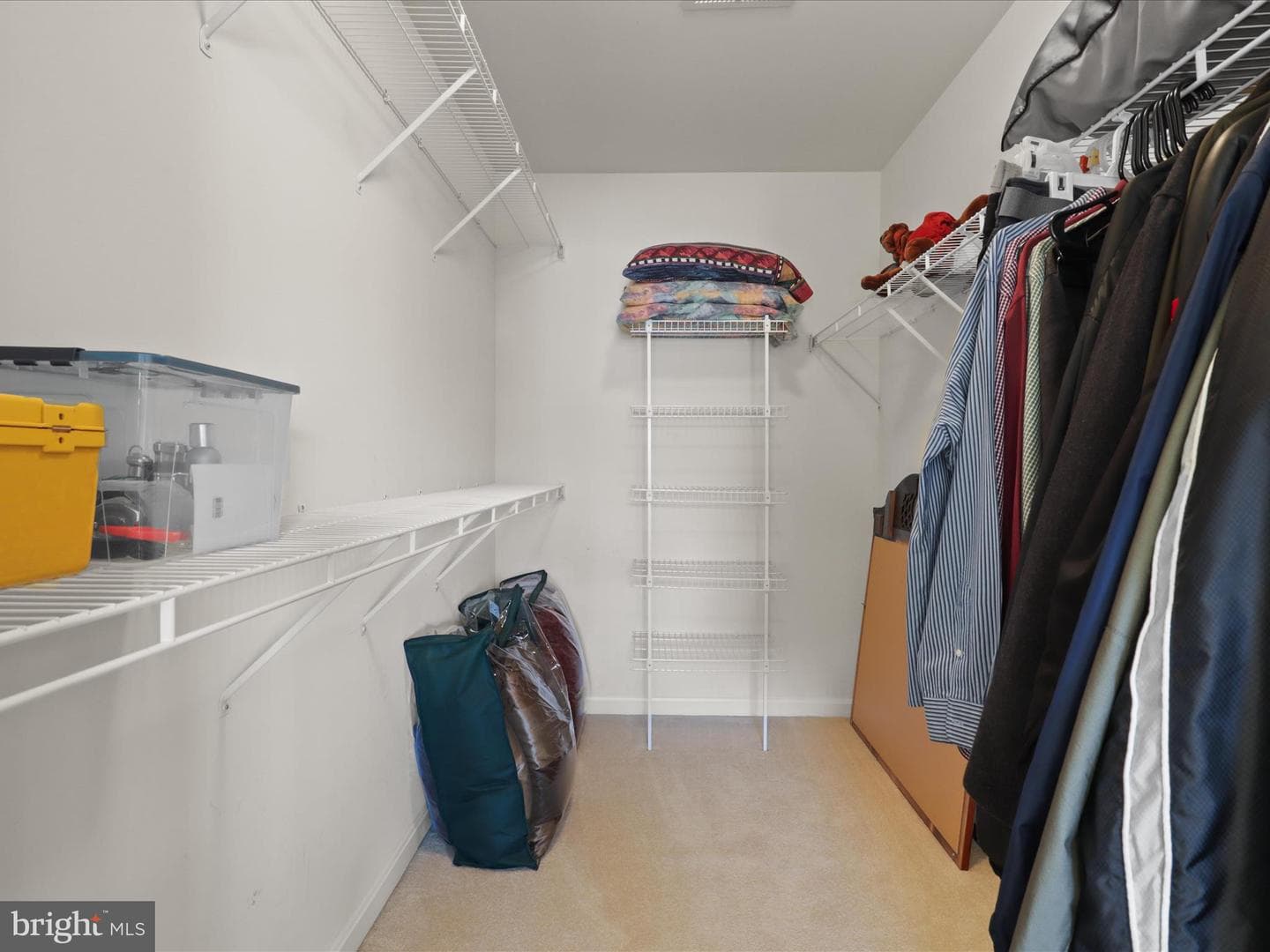5204 Spanish Dollar Court photo 37