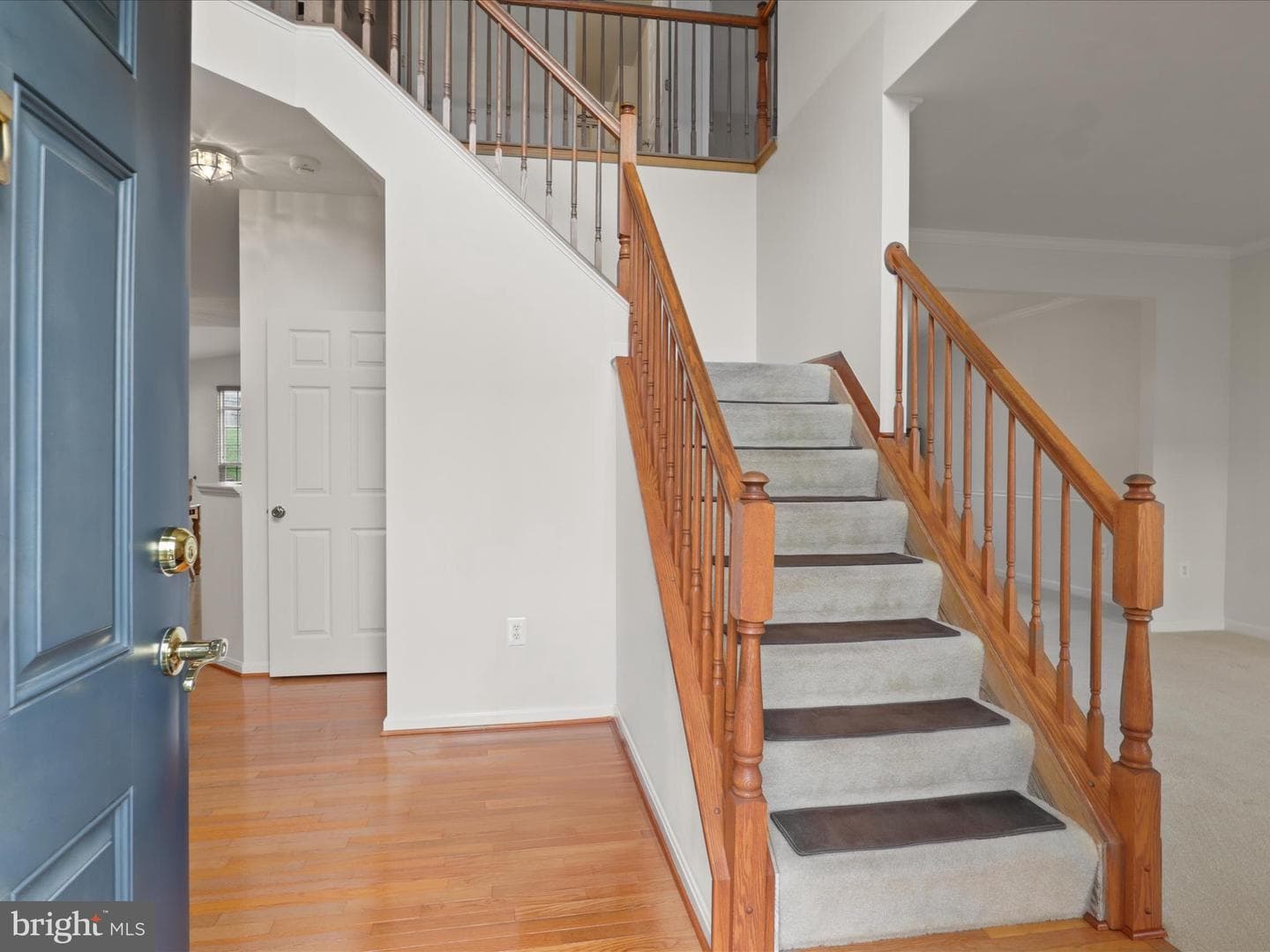 5204 Spanish Dollar Court photo 7