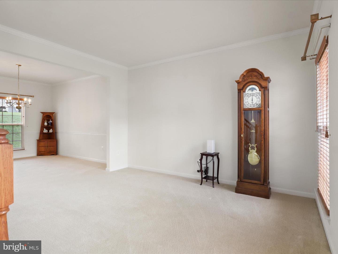 5204 Spanish Dollar Court photo 8