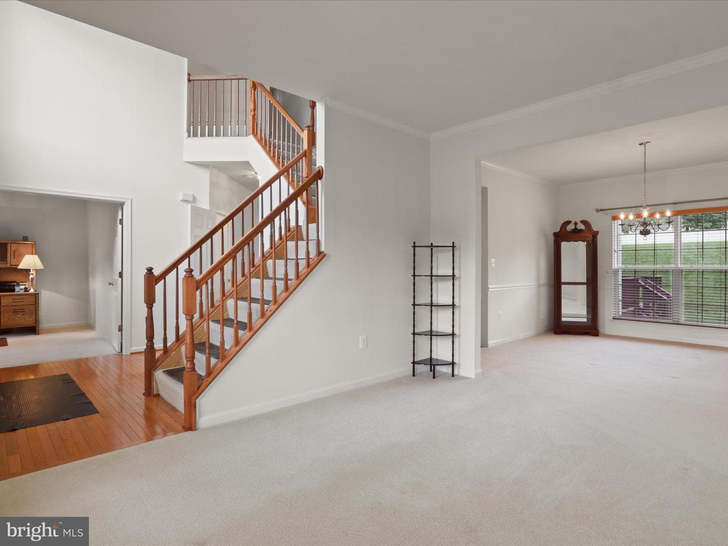 5204 Spanish Dollar Court photo 9