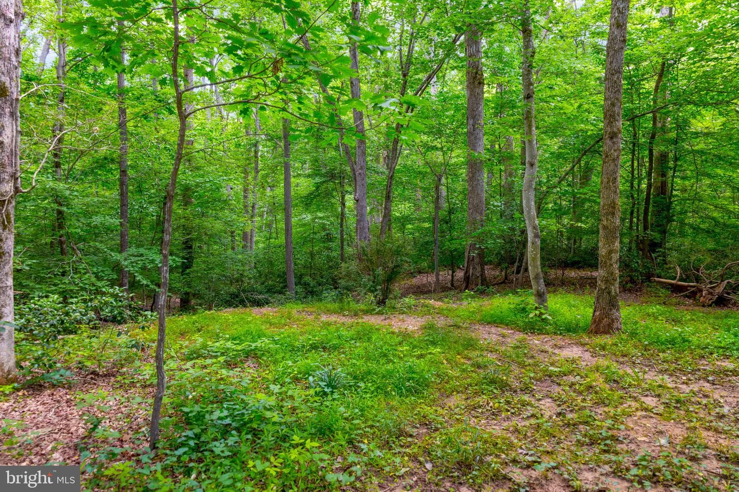 9979 Silver Fox Trail photo 12