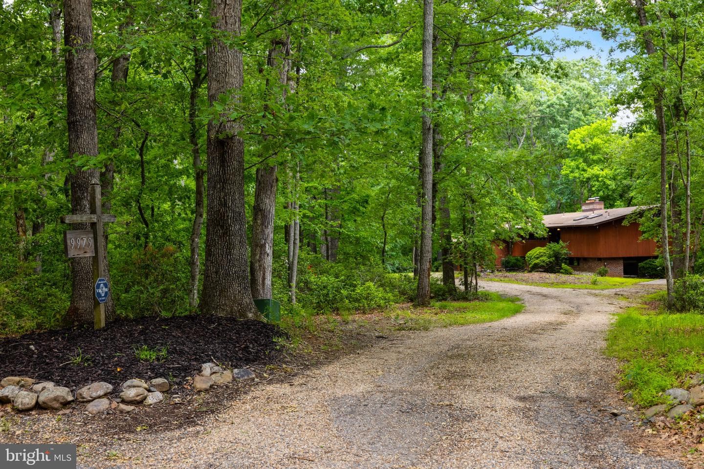9979 Silver Fox Trail photo 3