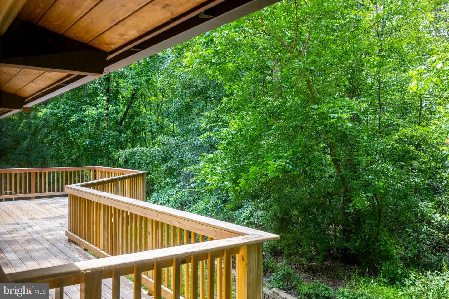 9979 Silver Fox Trail photo 49