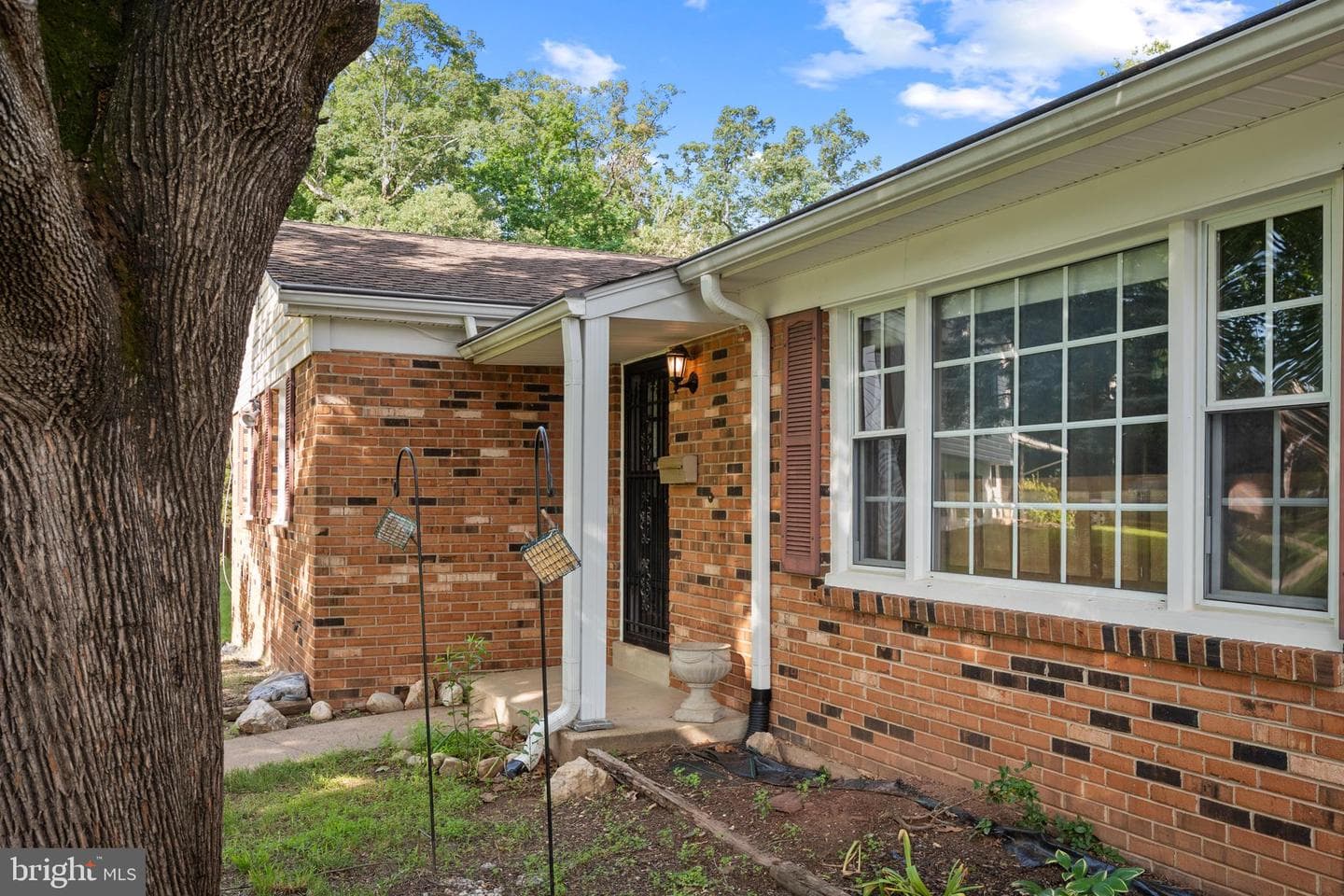 7516 Todd Place photo 5