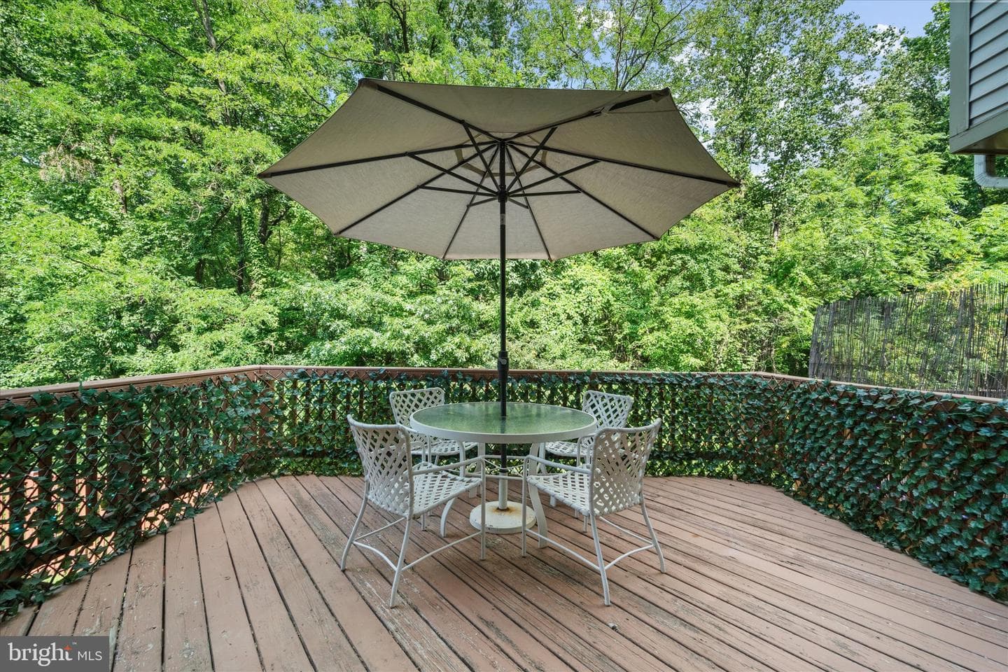 15021 Bridgeport Drive photo 9