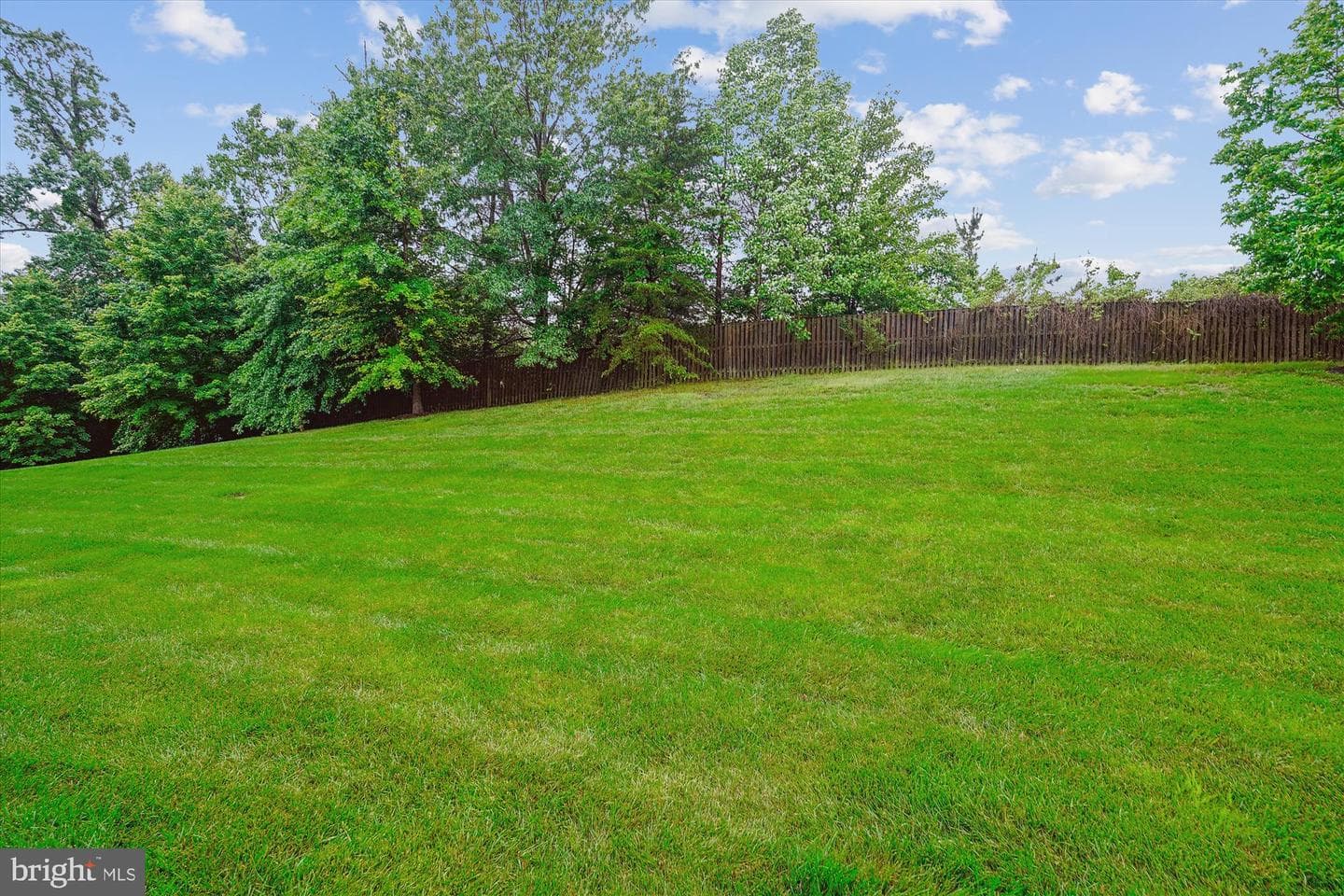 16758 Blackjack Oak Lane photo 39