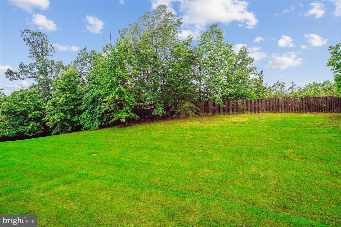 16758 Blackjack Oak Lane photo 40