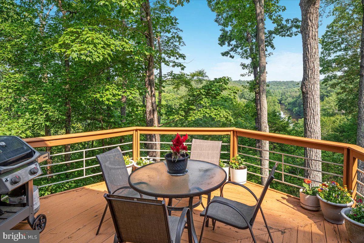 11656 Sandal Wood Lane photo 11