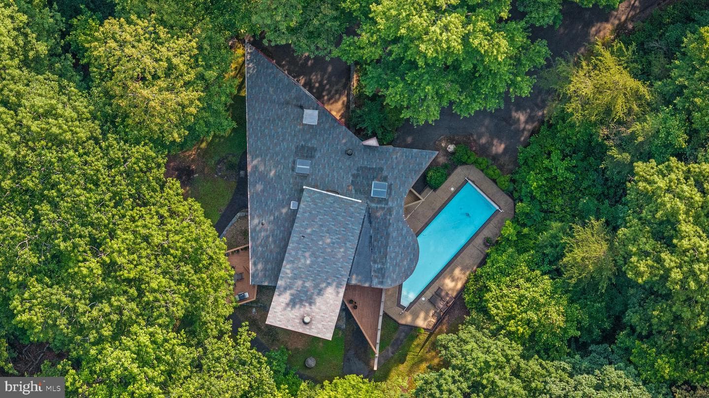 11656 Sandal Wood Lane photo 15