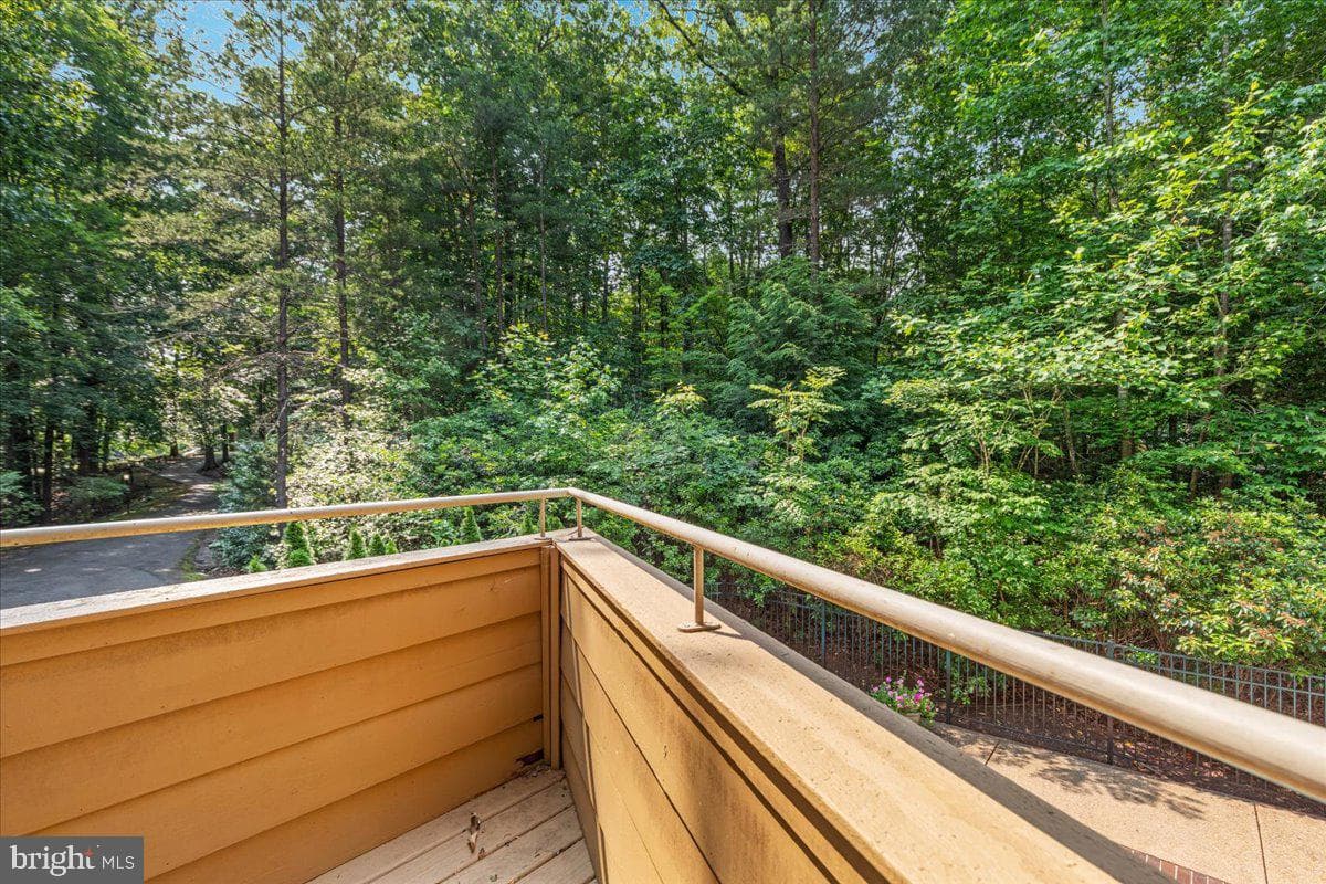11656 Sandal Wood Lane photo 54
