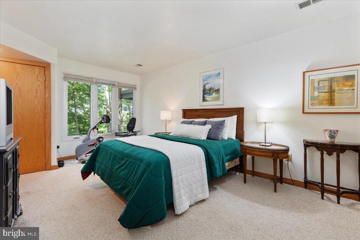 11656 Sandal Wood Lane photo 67