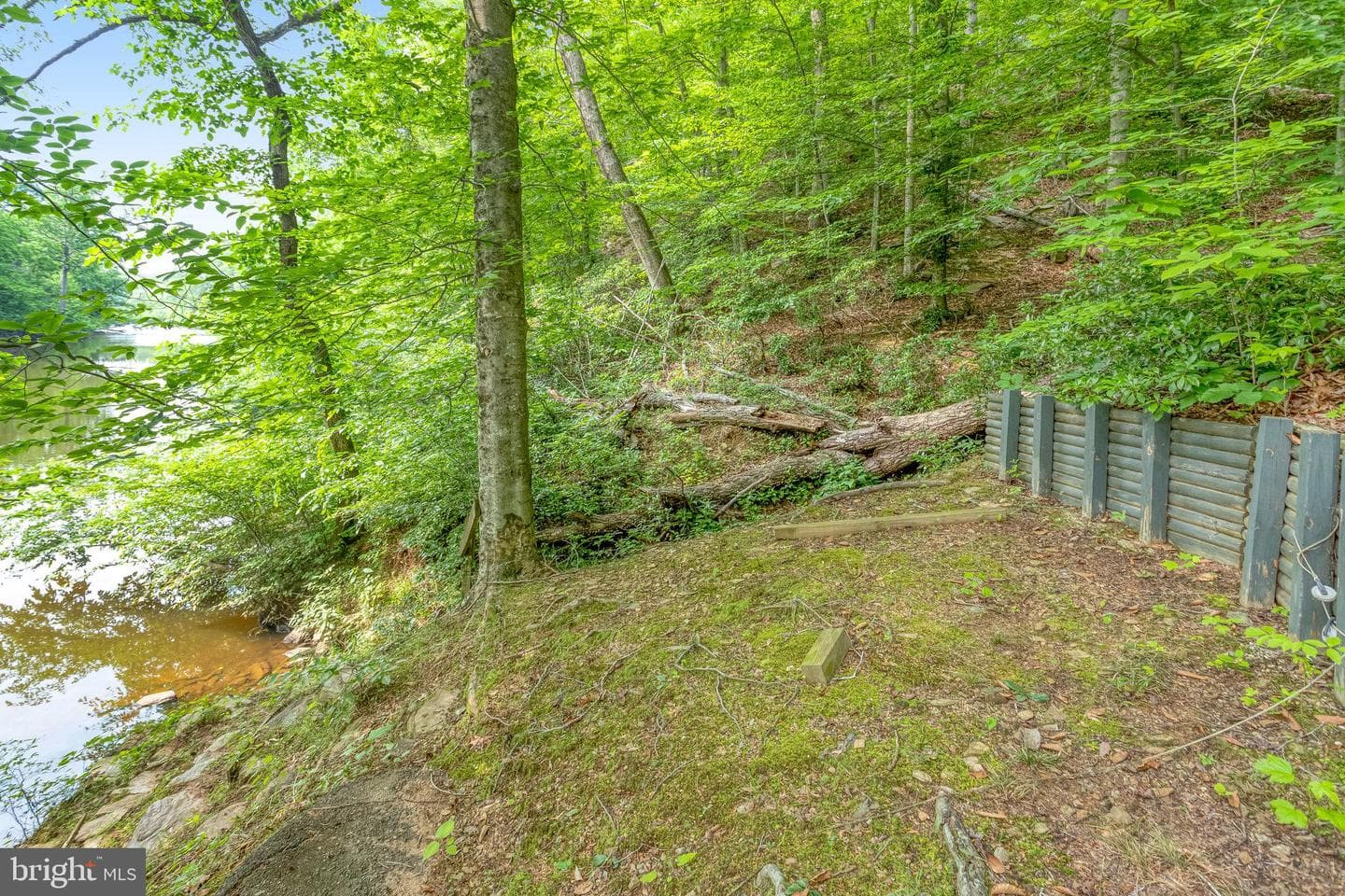 11656 Sandal Wood Lane photo 75
