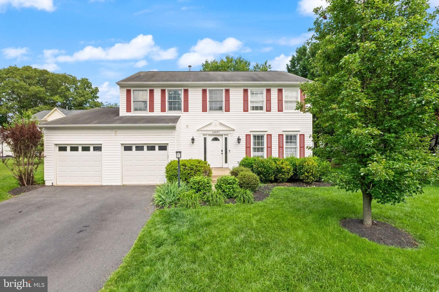 10897 Pennycress Street