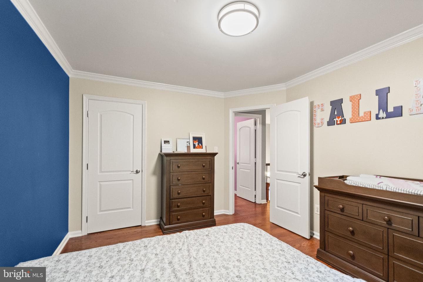 10897 Pennycress Street photo 18