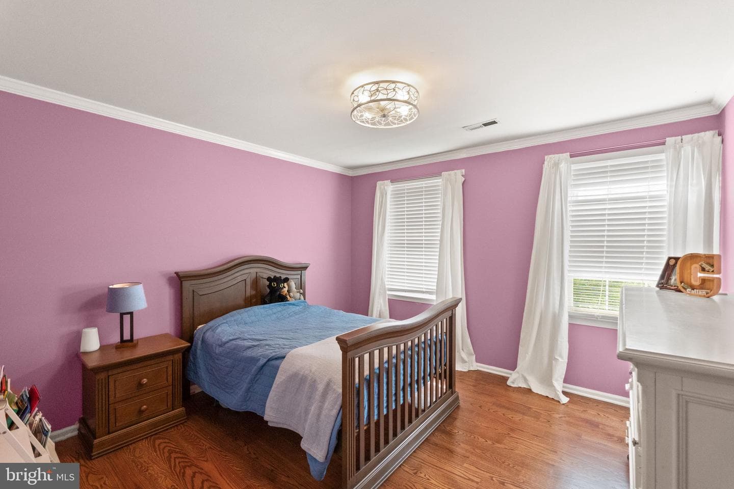 10897 Pennycress Street photo 19