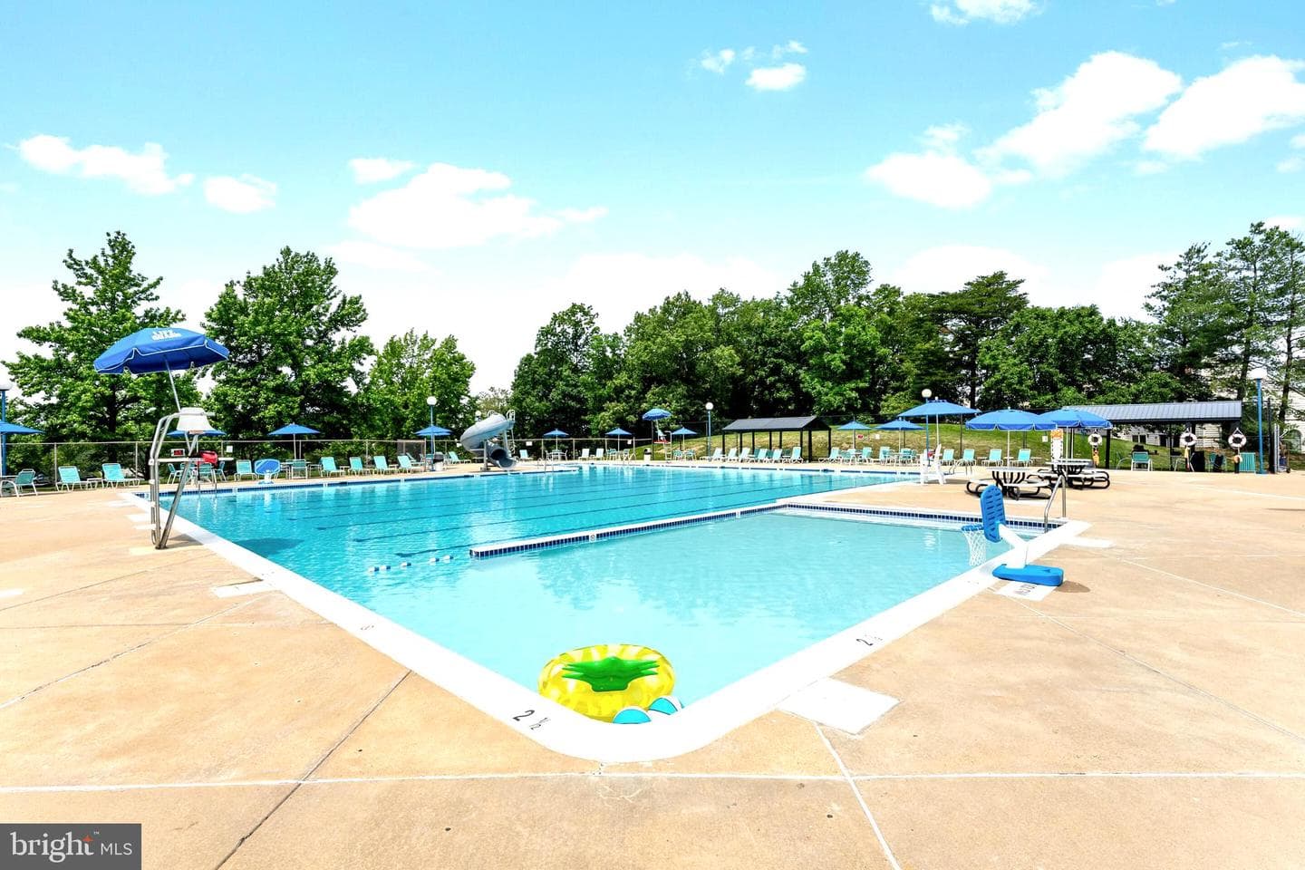 8079 Lacy Drive #203 photo 25