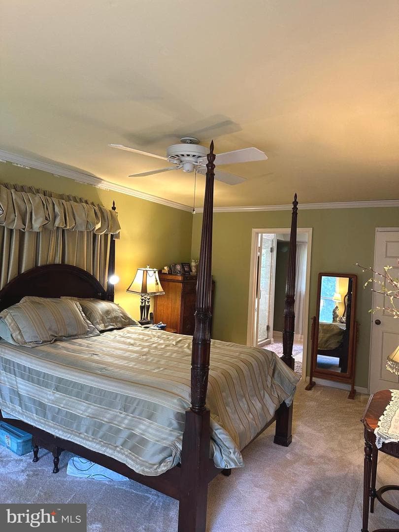 12992 Shadwell Court photo 22