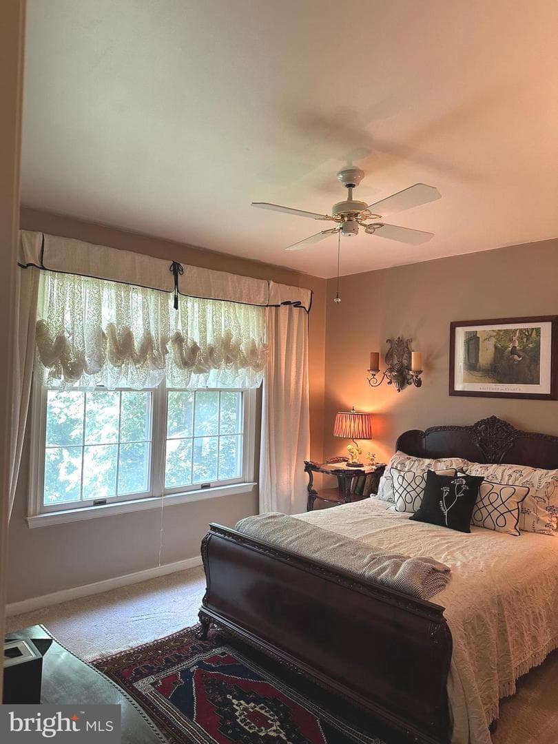 12992 Shadwell Court photo 29