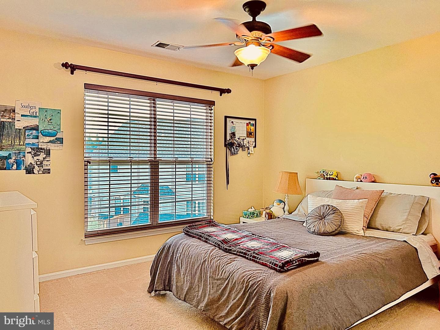 13225 Scottish Hunt Lane photo 22