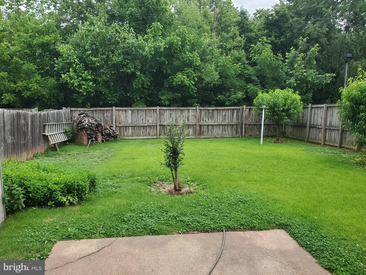7584 Quail Run Lane photo 6