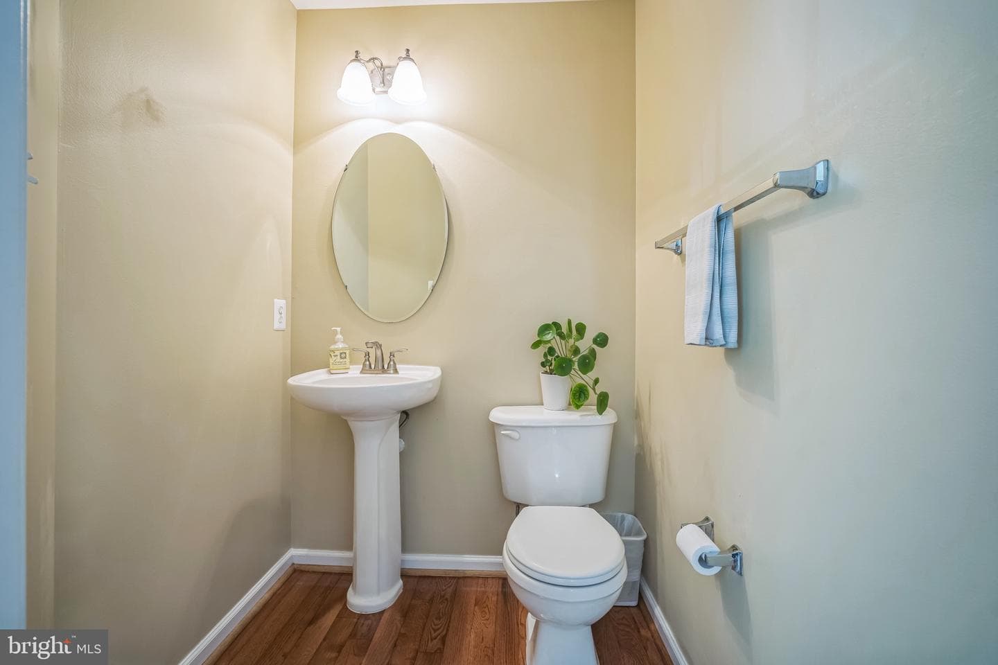 7207 Traphill Way photo 29