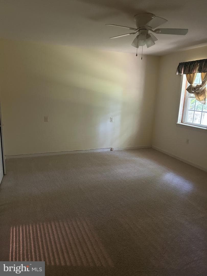 12157 Pineneedle Court photo 16