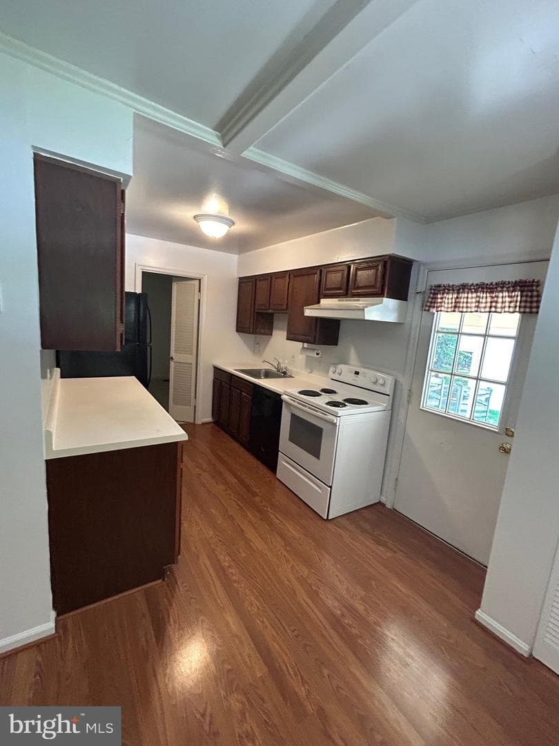 12157 Pineneedle Court photo 6