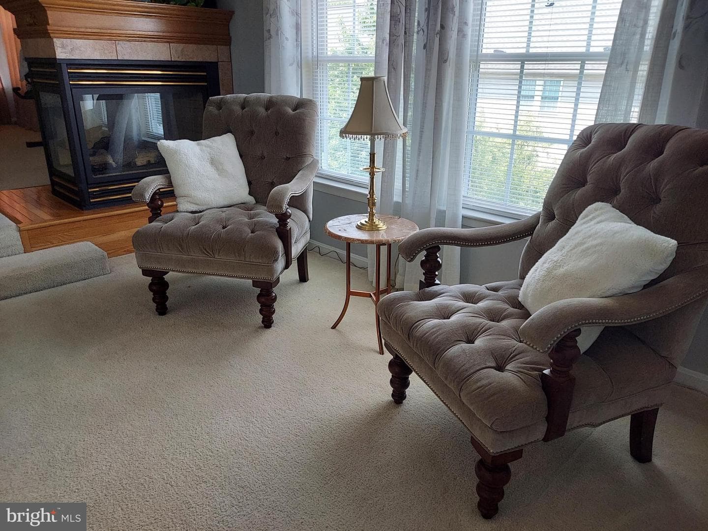 8650 Trenton Chapel Way photo 33