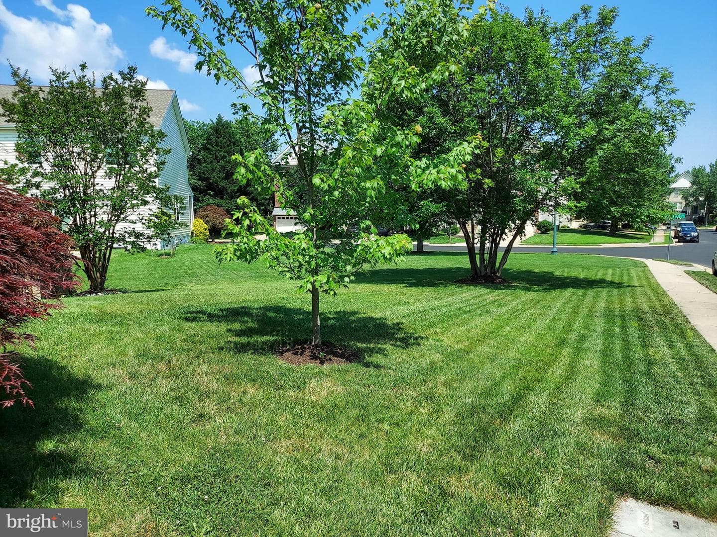 8650 Trenton Chapel Way photo 9