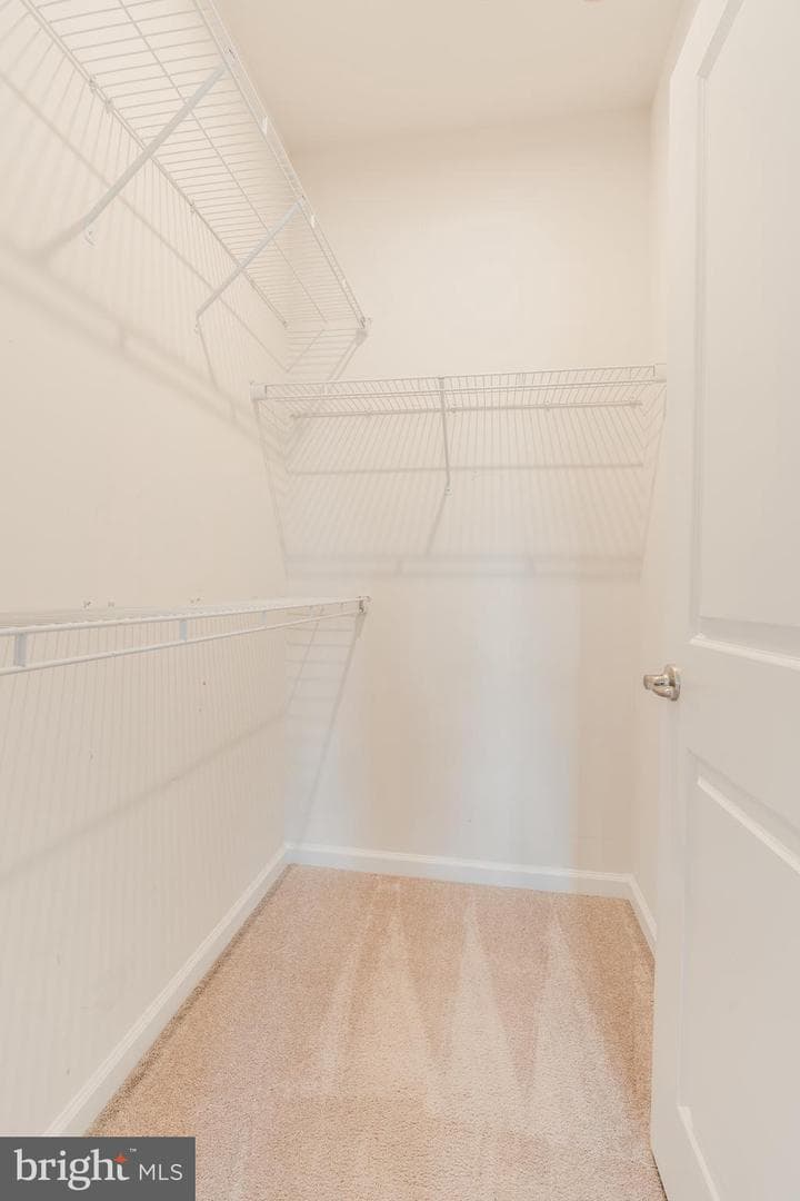 18191 Red Mulberry Road photo 27