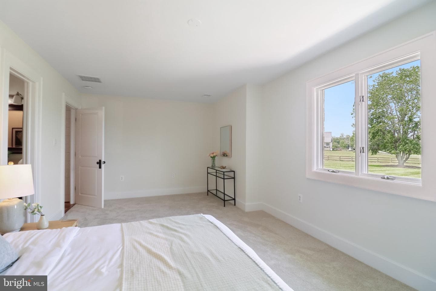 12899 Carriage Ford Road photo 63