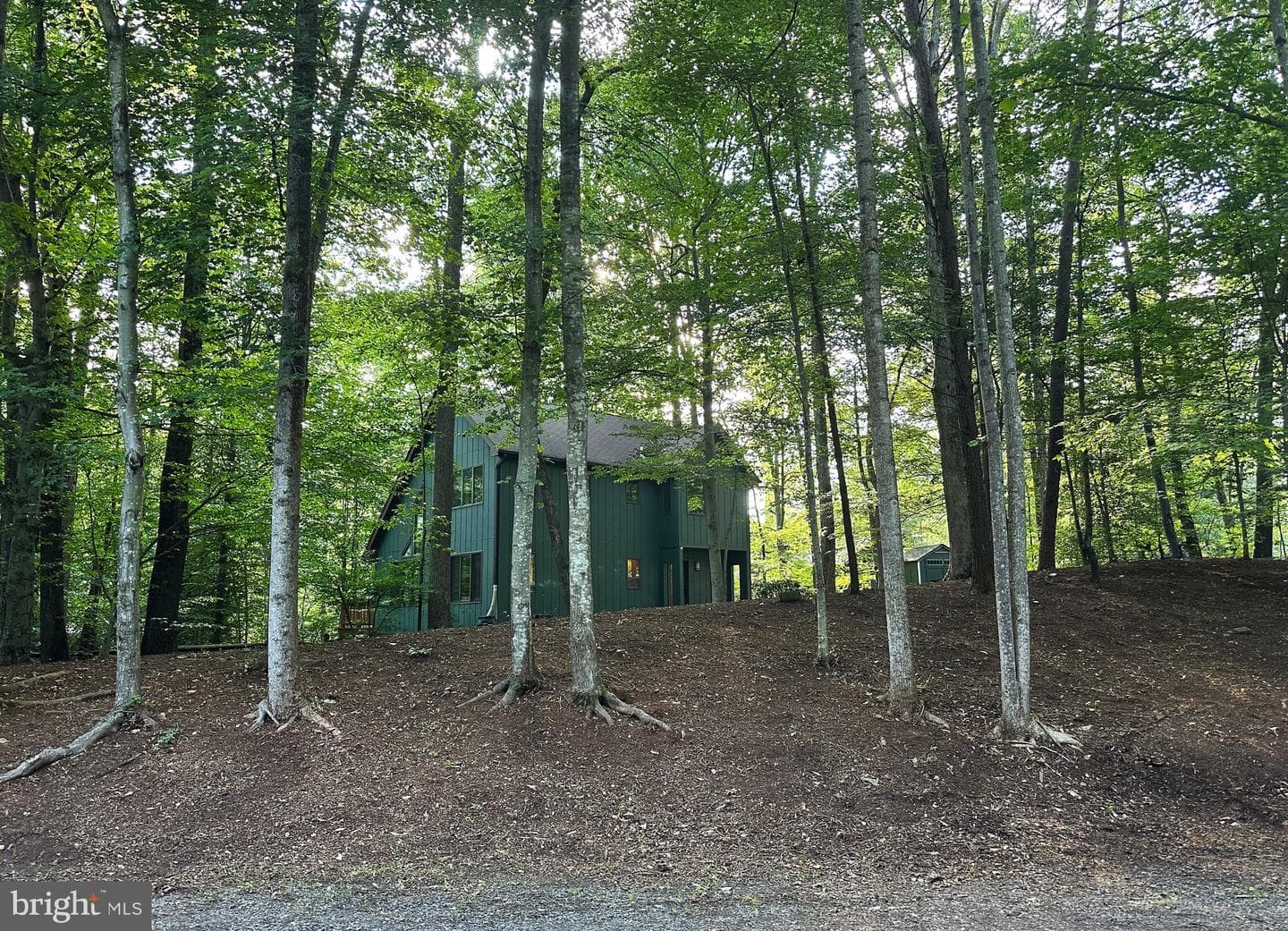 6303 Occoquan Forest Drive photo 12