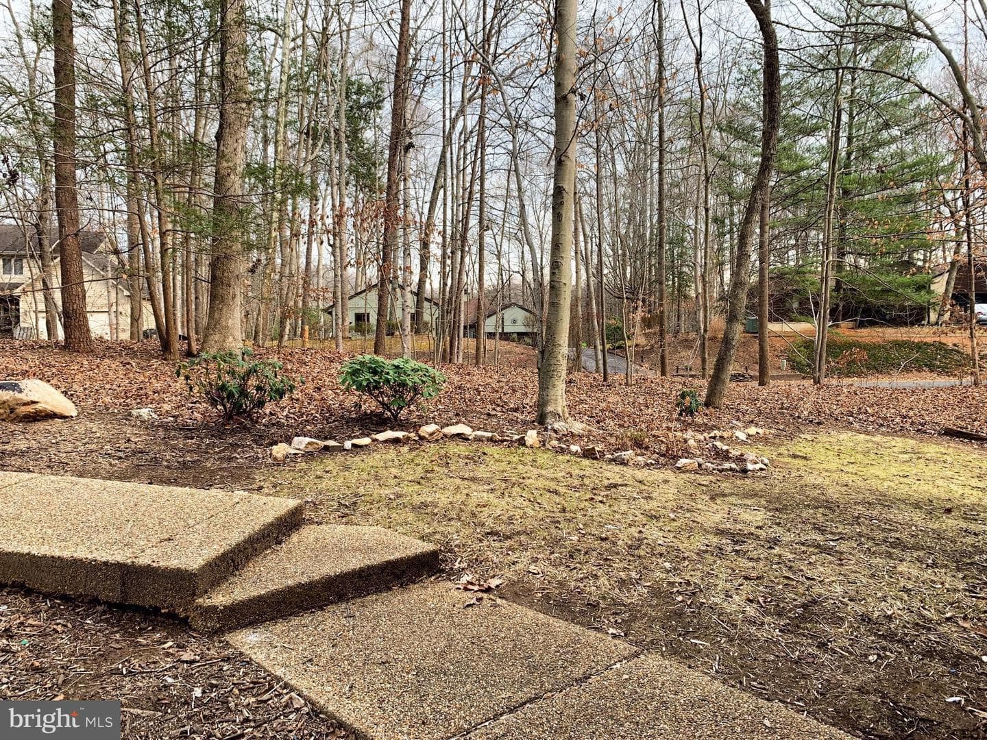 6303 Occoquan Forest Drive photo 14
