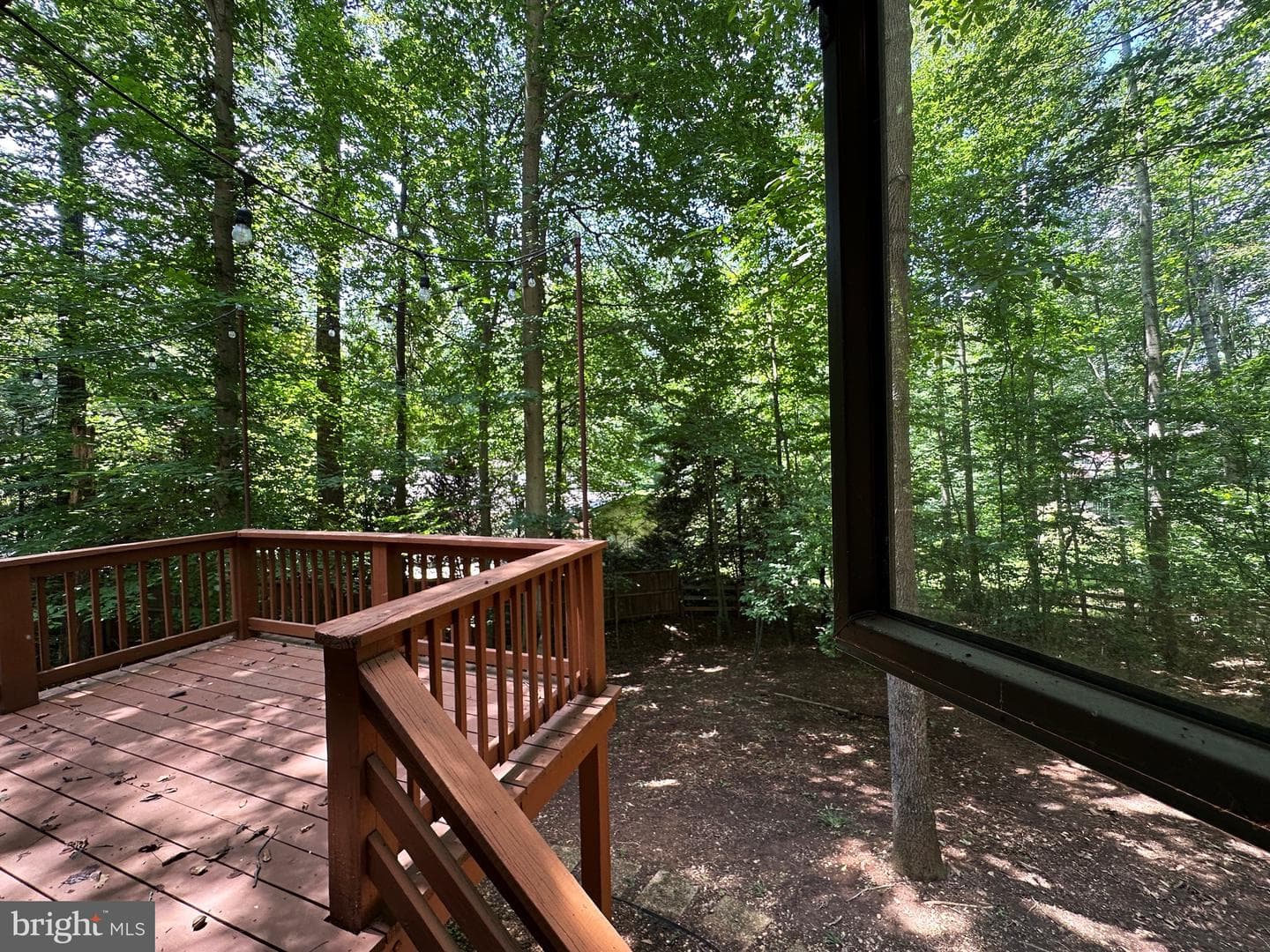 6303 Occoquan Forest Drive photo 42