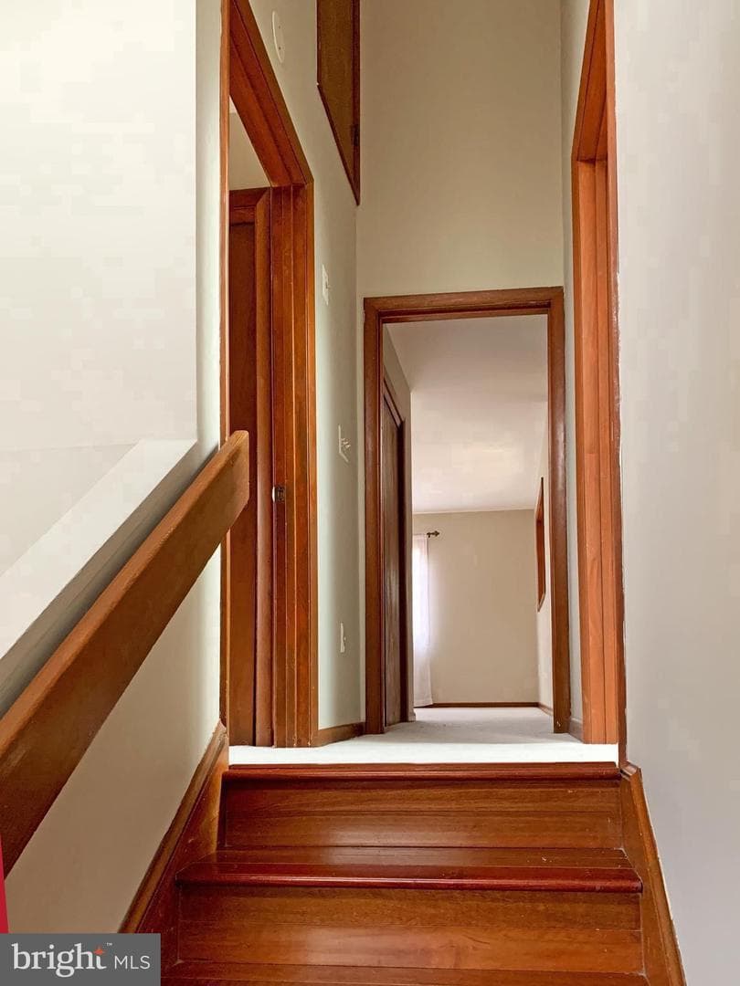 6303 Occoquan Forest Drive photo 43