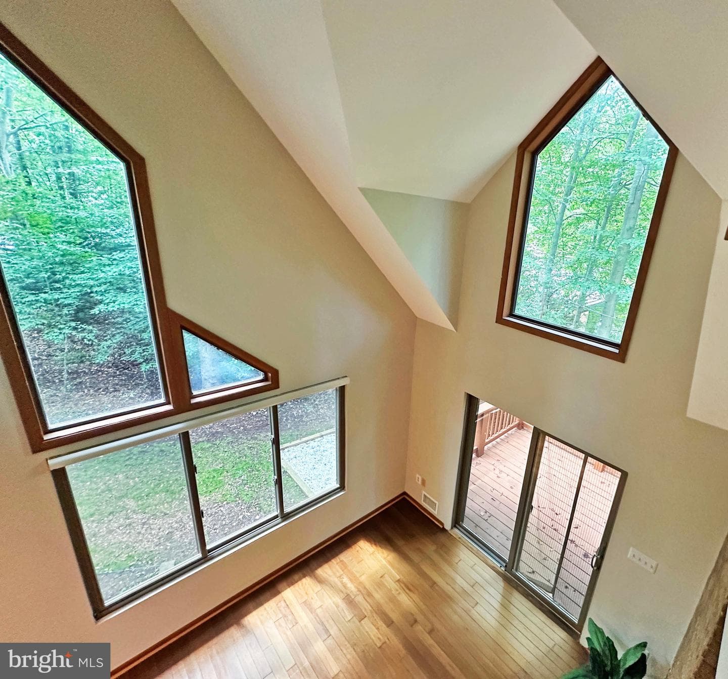 6303 Occoquan Forest Drive photo 50