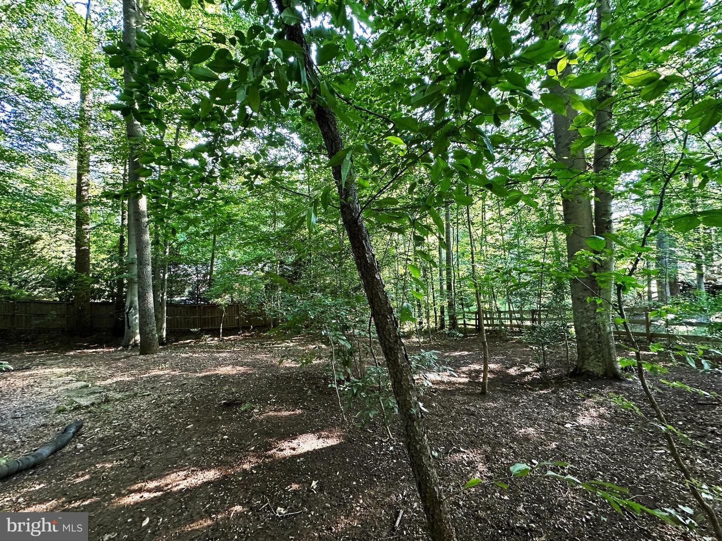 6303 Occoquan Forest Drive photo 66