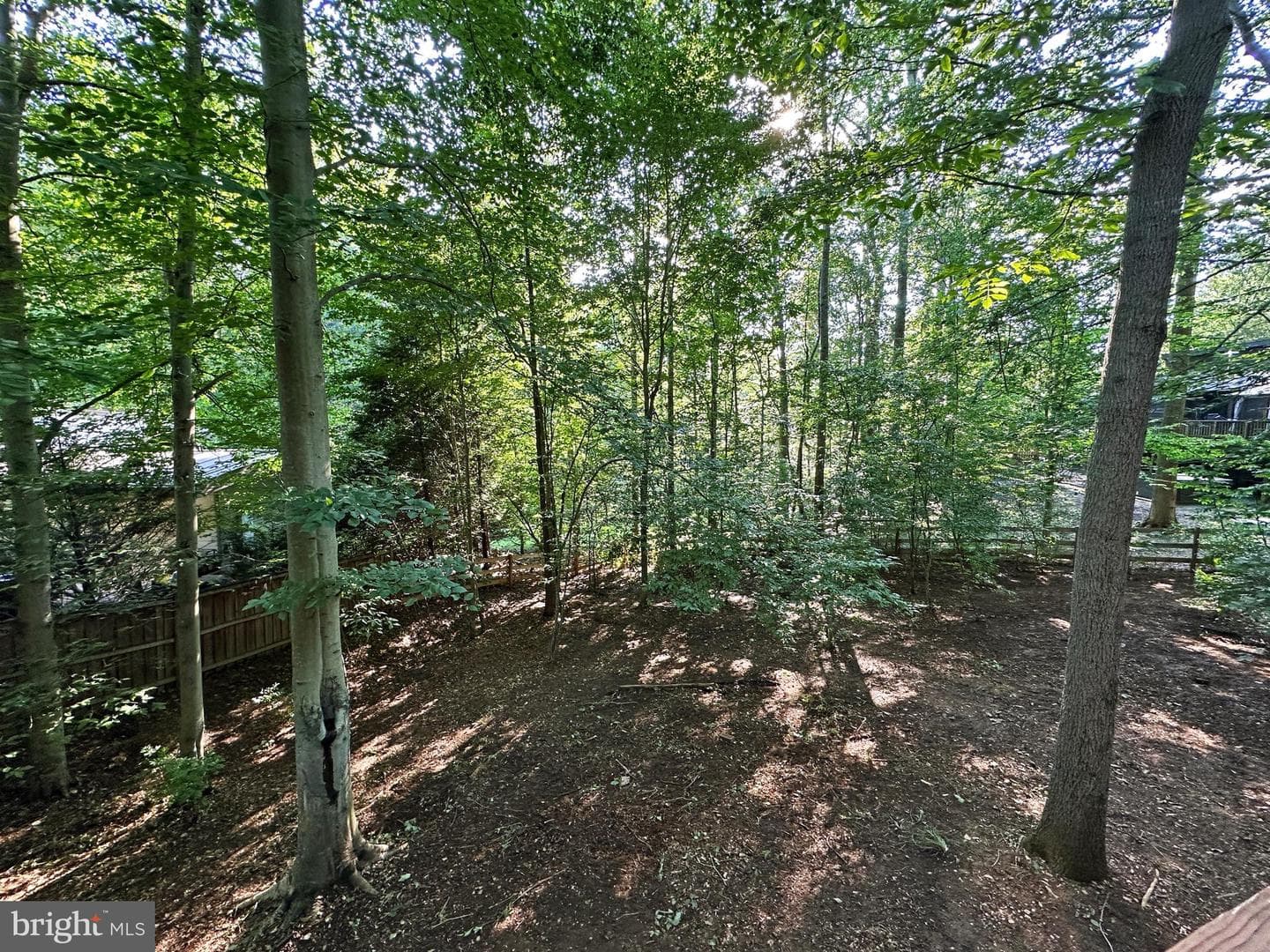 6303 Occoquan Forest Drive photo 69