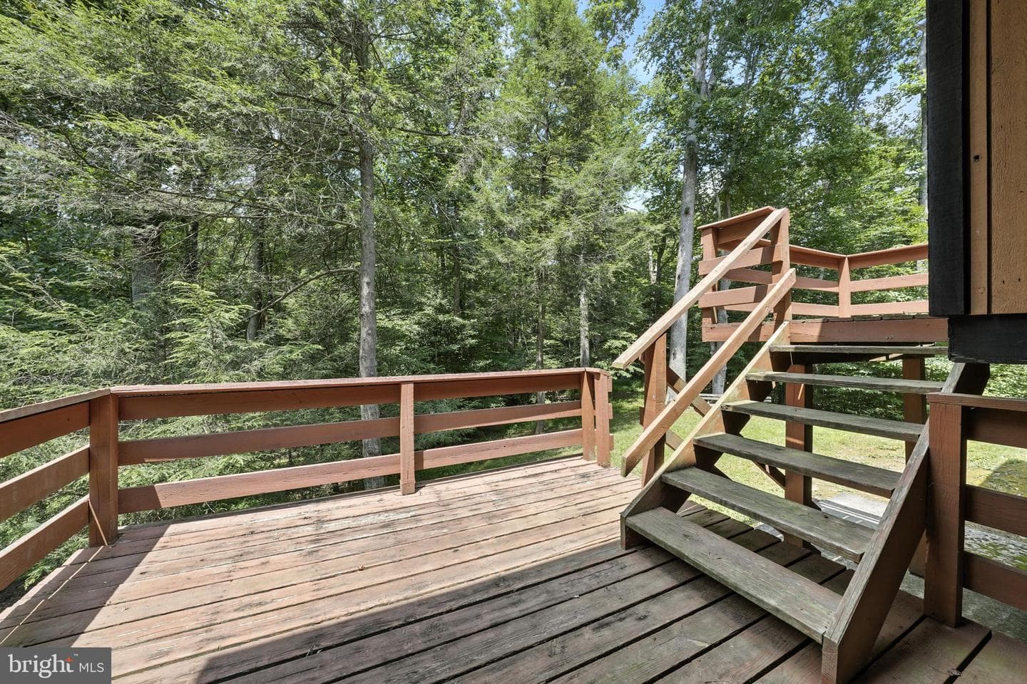 10846 Quail Creek Lane photo 8