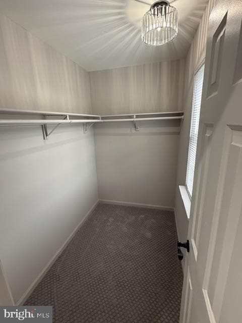 2526 Doverhill Court photo 23