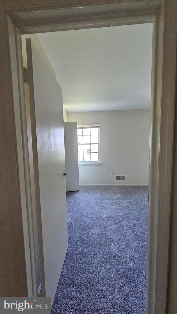10234 Winchester Court photo 20