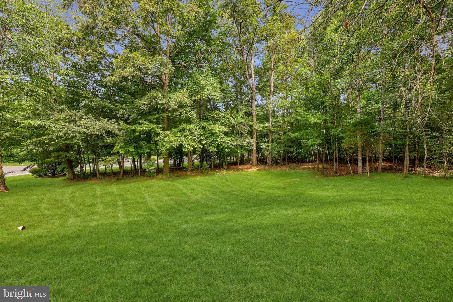 6843 Lochmere Drive photo 44