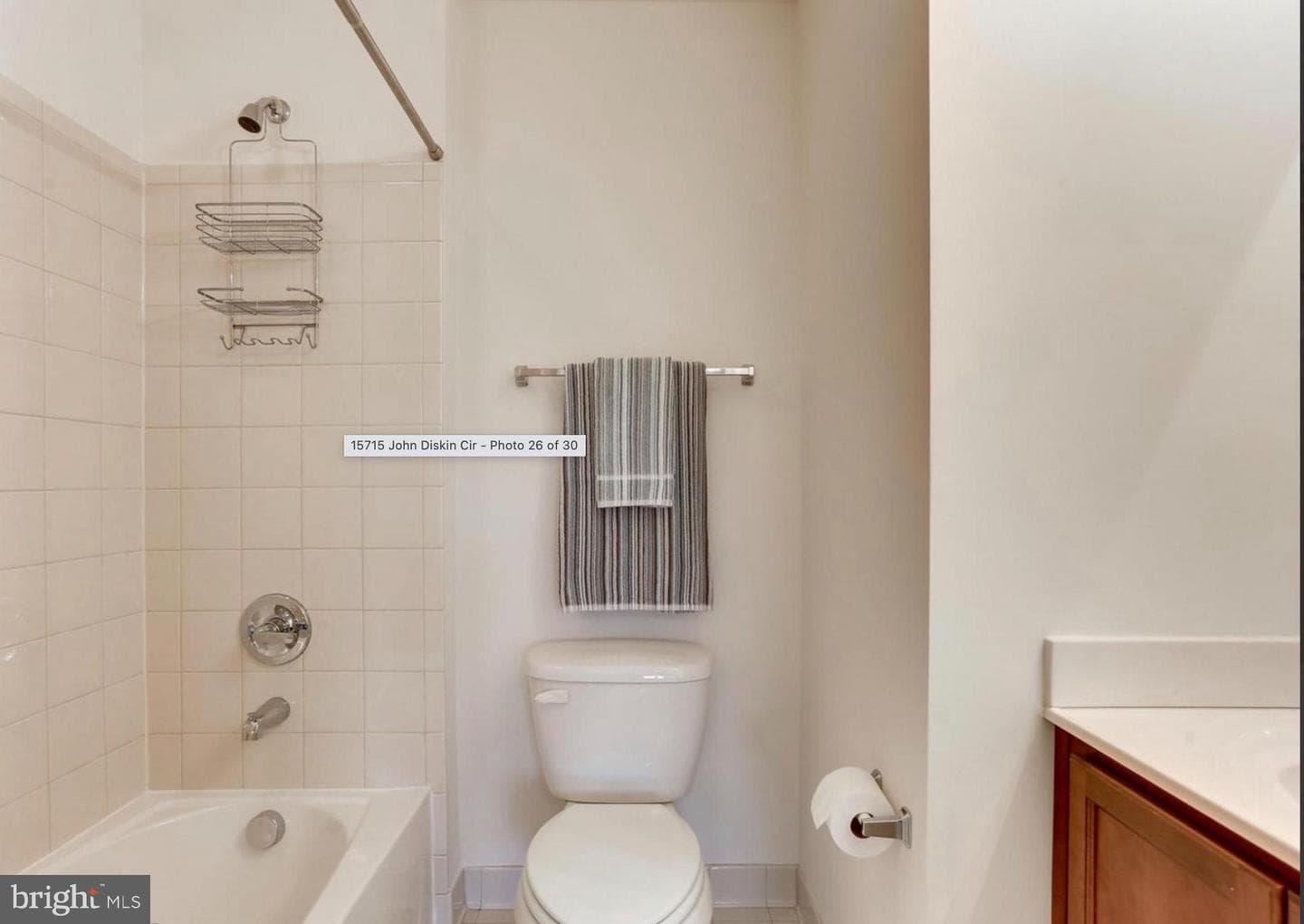 15715 John Diskin Circle photo 30