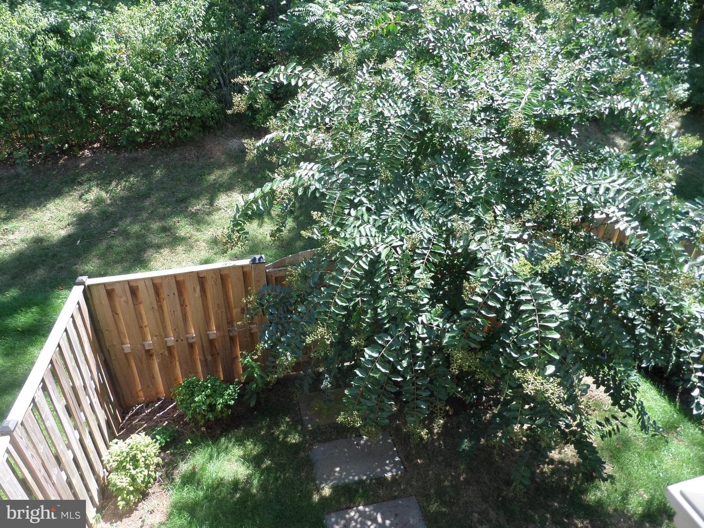 6679 Bartrams Forest Lane photo 60