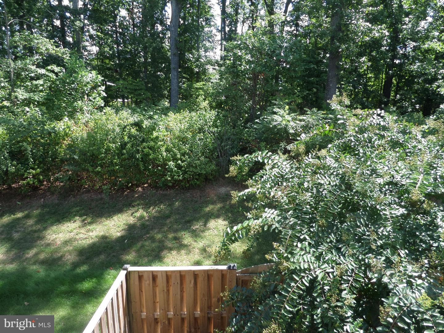 6679 Bartrams Forest Lane photo 61