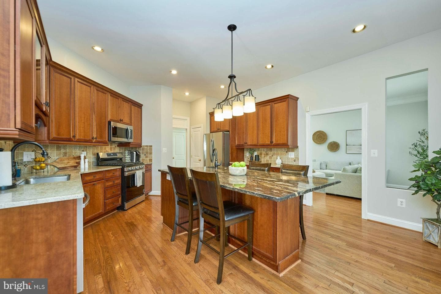 9071 Raging Water Drive photo 11