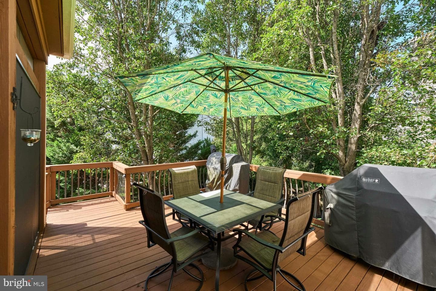 9071 Raging Water Drive photo 48